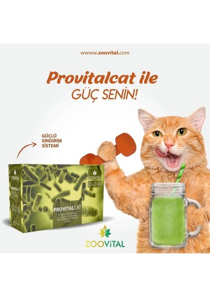 Provital Cat Prebiyotik Probiyotik Tamamlayıcı Yem 12 Şase (12X1,5 Gr)