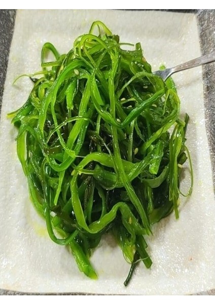 Dondurulmuş Wakame Salatası 1 kg modelleri