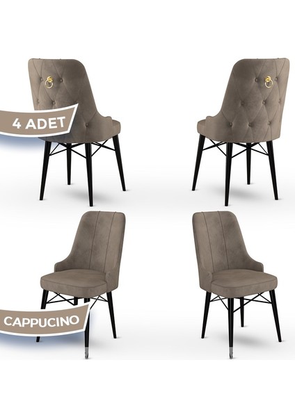 Concept Pare Serisi Babyface Ithal Kumaş 4 Adet Sandalye Siyah Gürgen Ayak Gold Halkalı