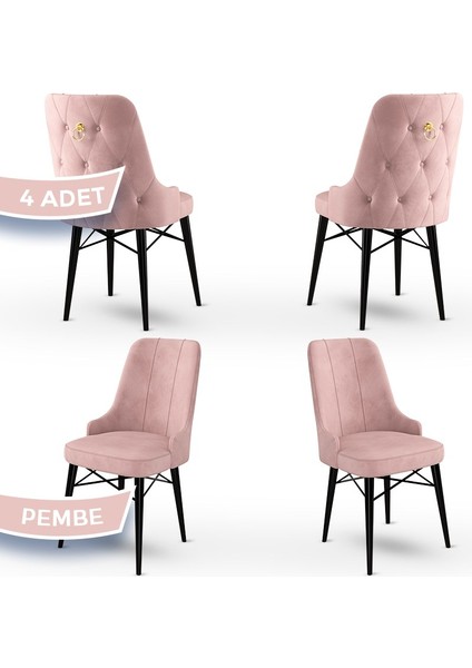 Concept Pare Serisi Babyface Ithal Kumaş 4 Adet Sandalye Siyah Gürgen Ayak Gold Halkalı