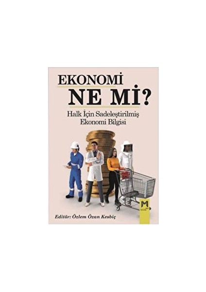 Ekonomi Ne Mi?