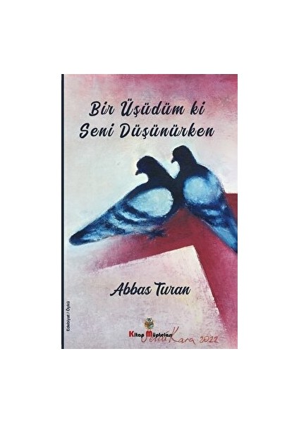 Bir Üşüdüm Ki Seni Düşünürken