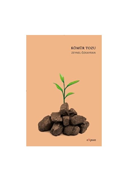 Kömür Tozu