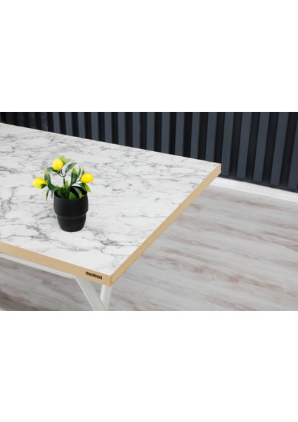 70 x 120 cm Katlanır Masa Kamp Masası Karavan Masası Mutfak Masası Balkon Masası Çalışma Masası Beyaz