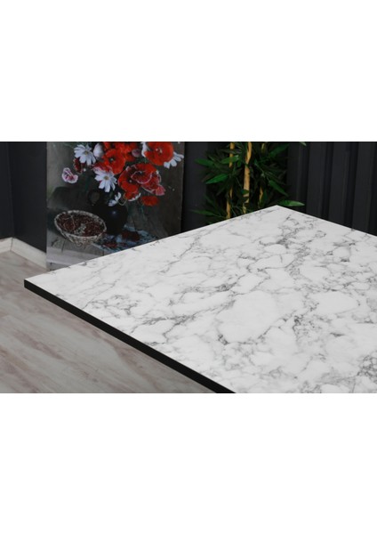 60 x 100 cm Katlanır Masa Kamp Masası Karavan Masası Mutfak Masası Balkon Masası Çalışma Masası Beyaz fırsatları