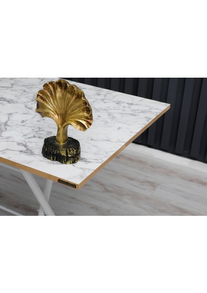 70 x 120 cm Katlanır Masa Kamp Masası Karavan Masası Mutfak Masası Balkon Masası Çalışma Masası Beyaz