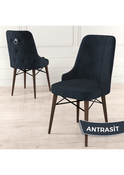 Concept Pare Serisi Babyface Kumaş Yemek Odası Sandalyesi Ceviz Gürgen Ayak Gümüş Halkalı