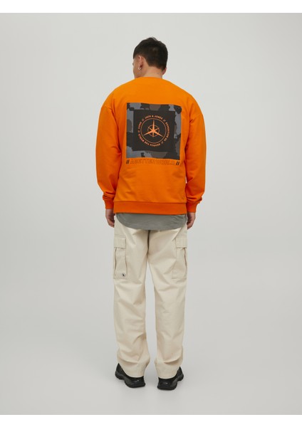 Sırt Baskılı Sweatshirt- Filo modelleri