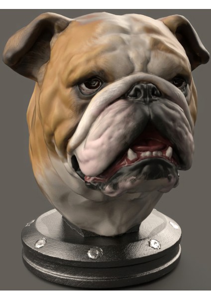 Bulldog Bust - Buldog Büst - 20CM