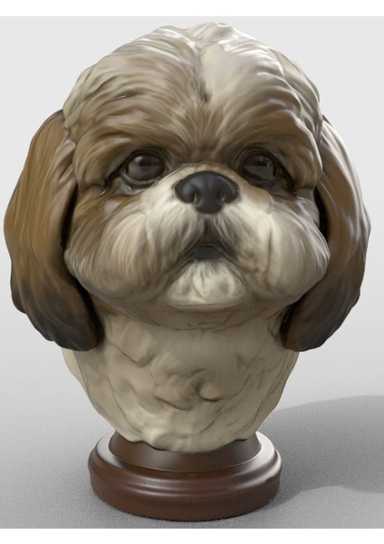 Shih Tzu Bust - Şitsu Büst - 20CM