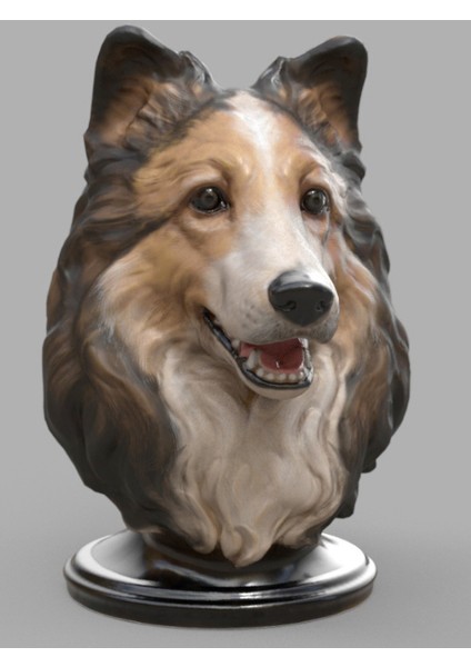 Sheltie Bust - Shetland Çoban Köpeği - 20CM