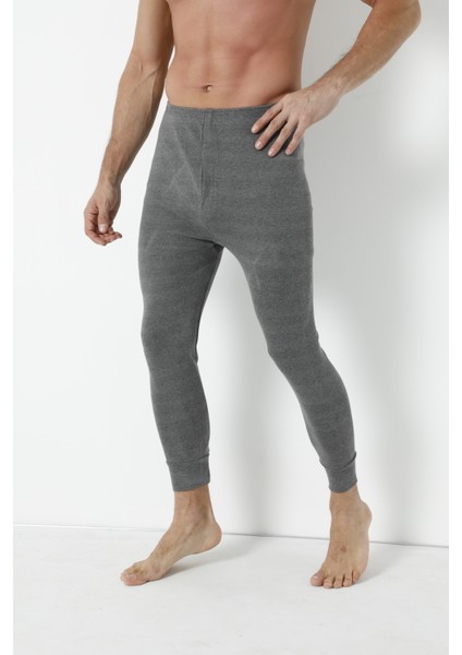 Thermal Alt modelleri