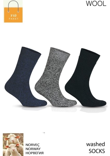 Lupull Collection 3 Çift Norveç Tipi Yünlü Güçlendirilmiş Erkek Termal Çorap Seti 6042 fiyatları