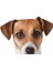 Terrier Sevimli Köpek Sticker Yapıştırma 18CM Model2 1