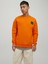 Sirt Baskili Sweatshirt- Filo 1