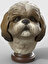 Shih Tzu Bust - Şitsu Büst - 20CM 1