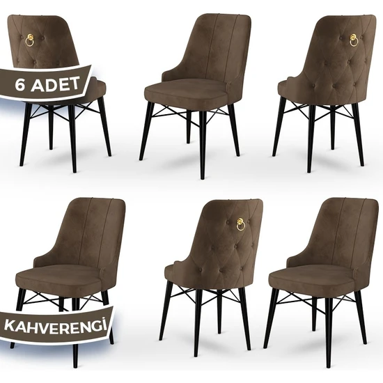 Canisa Concept Pare Serisi  Babyface Kumaş  6 Adet Sandalye Siyah Gürgen Ayak Gold Halkalı