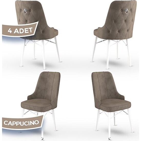 Canisa Concept Pare Serisi, 1.sınıf Babyface Ithal Kumaş 4 Adet Sandalye, Beyaz Gürgen Ayak, Gümüş Halkalı