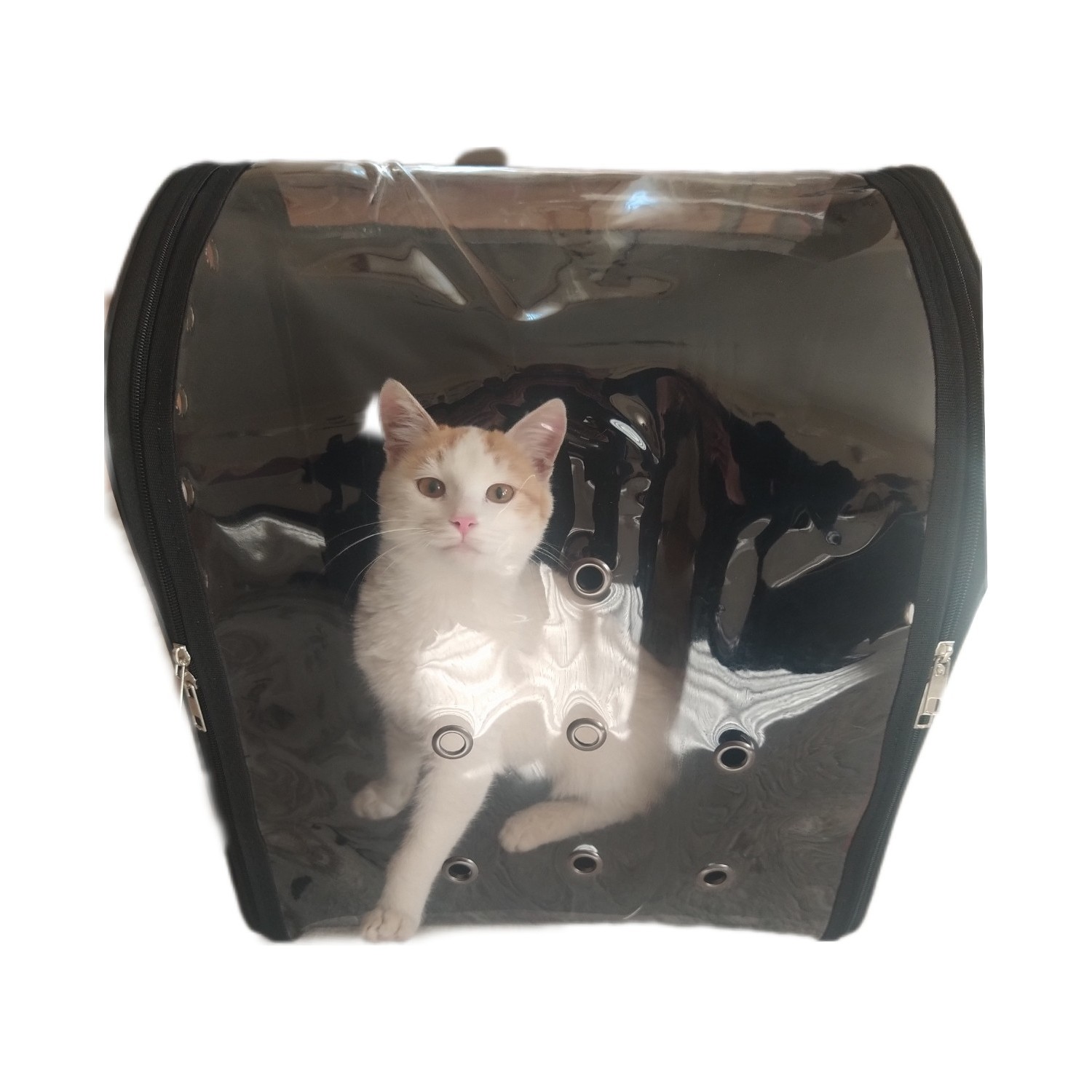 Sev Bags Kedi Köpek Taşıma Çantası Fiyatı Taksit Seçenekleri