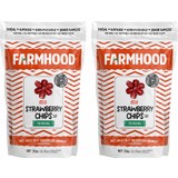 Farmhood 2x Freeze Dried Çilek Cipsi