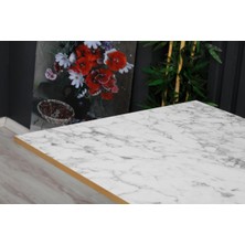 Demontepark  70 x 120 cm  Katlanır Masa Kamp Masası Karavan Masası Mutfak Masası Balkon Masası Çalışma Masası Beyaz