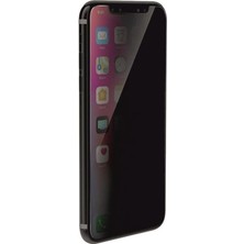 Apple iPhone 12 Pro Max Zebana Mat Seramik Hayalet Ekran Koruyucu Siyah