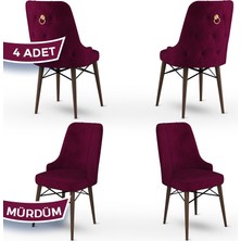 Canisa Concept Pare Serisi, 1.sınıf Babyface Ithal Kumaş, 4 Adet Sandalye, Ceviz Gürgen Ayak, Gold Halkalı