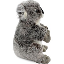 Animals Of The World Koala Kukla (Tüm Beden) 26 cm