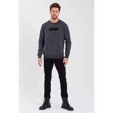 MRS Clothing Black 3D Baskılı Standart Fit Erkek Ince Sweatshirt Antrasit