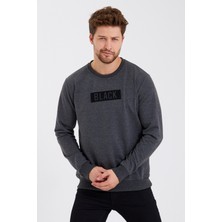 MRS Clothing Black 3D Baskılı Standart Fit Erkek Ince Sweatshirt Antrasit