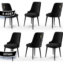 Canisa Concept Enoa Serisi Babyface Kumaş Siyah Gürgen Ayaklı 6 Adet Sandalye Gold Halkalı