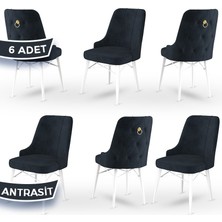 Canisa Concept Pare Serisi  Babyface Ithal Kumaş 6 Adet Sandalye Beyaz Gürgen Ayak Gold Halkalı