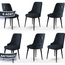 Canisa Concept Enoa Serisi Babyface Kumaş Siyah Gürgen Ayaklı 6 Adet Sandalye Gold Halkalı