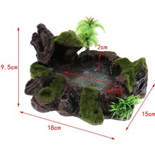 Cadia Bitki Amfibiler Sürüngen Besleme Kasesi Tepsisi (Yurt Dışından)