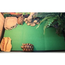 Cadia Terraryum Kaplumbağaları Için Sürüngen Kafes Halı Pedi 80X40CM (Yurt Dışından)