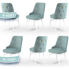 Canisa Concept Pare Serisi  Babyface Ithal Kumaş 6 Adet Sandalye Beyaz Gürgen Ayak Gold Halkalı