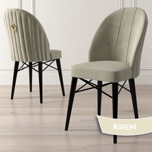 Canisa Concept Ritim Serisi, Siyah Gürgen Ayaklı, Babyface Ithal Kumaş Sandalye,1 Adet Gold Halkalı