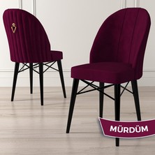 Canisa Concept Ritim Serisi, Siyah Gürgen Ayaklı, Babyface Ithal Kumaş Sandalye,1 Adet Gold Halkalı