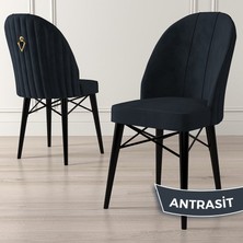 Canisa Concept Ritim Serisi, Siyah Gürgen Ayaklı, Babyface Ithal Kumaş Sandalye,1 Adet Gold Halkalı