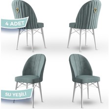 Canisa Concept Ritim Serisi, Babyface Ithal Kumaş, 4 Adet Sandalye, Beyaz Gürgen Ayak, Gold Halkalı