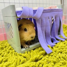 Tianyuhe 2pcs Hamster Yatağı Tel Yenilik Oklüzyon Evcil Çadır Tel Şeridi Çevre Dostu (Yurt Dışından)