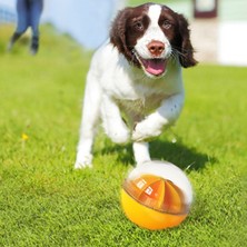 Caichi Köpek Bulmaca Oyuncakları Gıcırdayan Top Gıda Dağıtıcı Köpek Oyuncakları Sıkıcı Için M (Yurt Dışından)