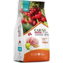 Carni Life Carni Dog Puppy Hindi/elmalı Tüm Irklar Için Köpek Maması 2.5 kg