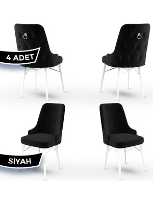 Canisa Concept Pare Serisi  Babyface Ithal Kumaş 4 Adet Sandalye Beyaz Gürgen Ayak Gümüş Halkalı