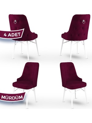 Canisa Concept Pare Serisi  Babyface Ithal Kumaş 4 Adet Sandalye Beyaz Gürgen Ayak Gümüş Halkalı