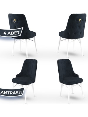 Canisa Concept Pare Serisi  Babyface Ithal Kumaş 4 Adet Sandalye Beyaz Gürgen Ayak Gold Halkalı