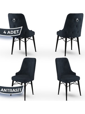 Canisa Concept Pare Serisi  Babyface Ithal Kumaş 4 Adet Sandalye Siyah Gürgen Ayak Gümüş Halkalı