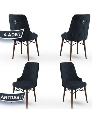 Canisa Concept Pare Serisi  Babyface Ithal Kumaş 4 Adet Sandalye Ceviz Gürgen Ayak Gümüş Halkalı