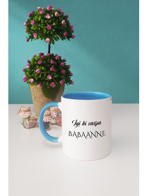 Hedizu Iyi Ki Varsın Babaanne Babaanneye Hediye Kupa Bardak Mavi