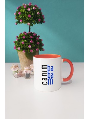 Hedizu Babaya Hediye Canım Babam Kupa Bardak Turuncu